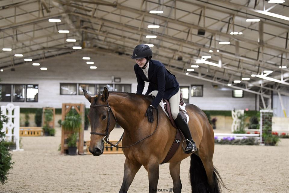 Equestrian Jobseeker Photo: