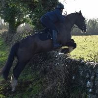 Equestrian Jobseeker Profile Photo