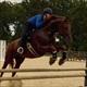 Equestrian Jobseeker Profile Photo