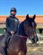 Equestrian Jobseeker Profile Photo