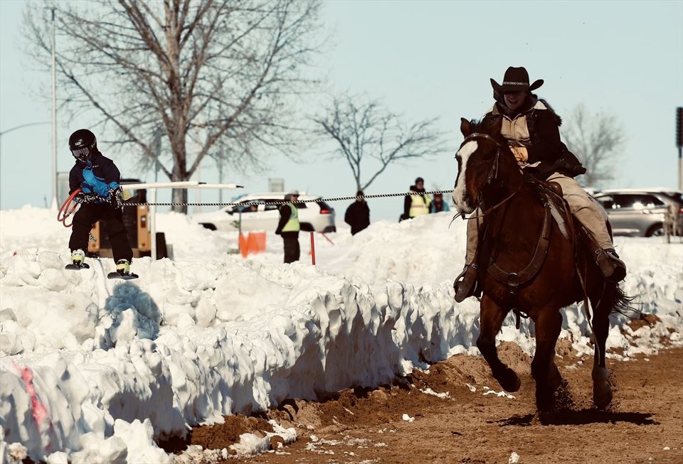 Equestrian Jobseeker Photo: