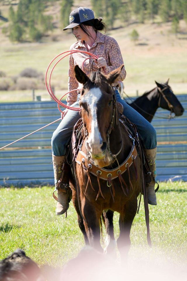 Equestrian Jobseeker Photo: