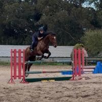Equestrian Jobseeker Profile Photo