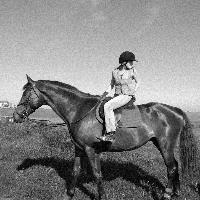 Equestrian Jobseeker Profile Photo