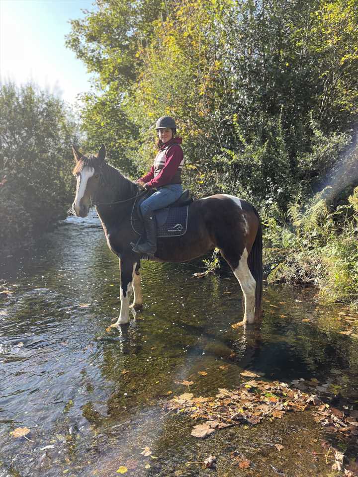 Equestrian Jobseeker Photo:
