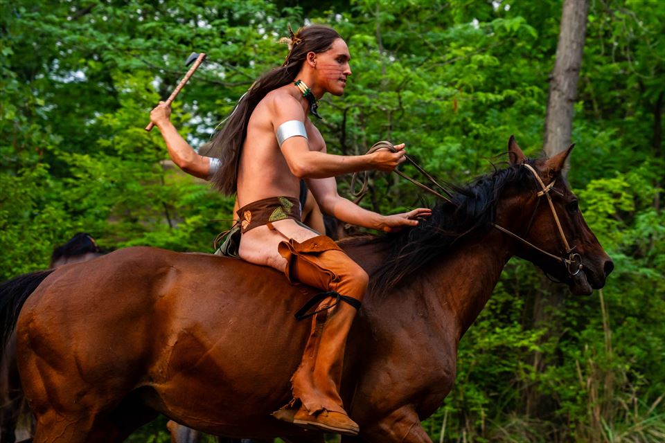 Equestrian Jobseeker Photo: