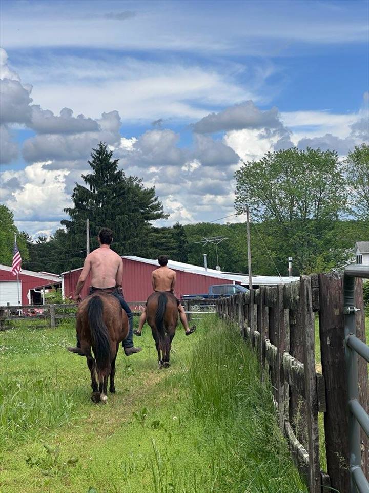 Equestrian Jobseeker Photo: