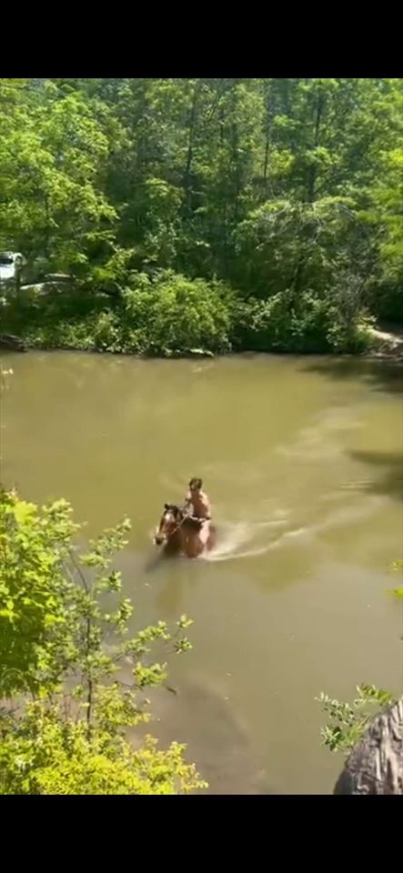 Equestrian Jobseeker Photo: