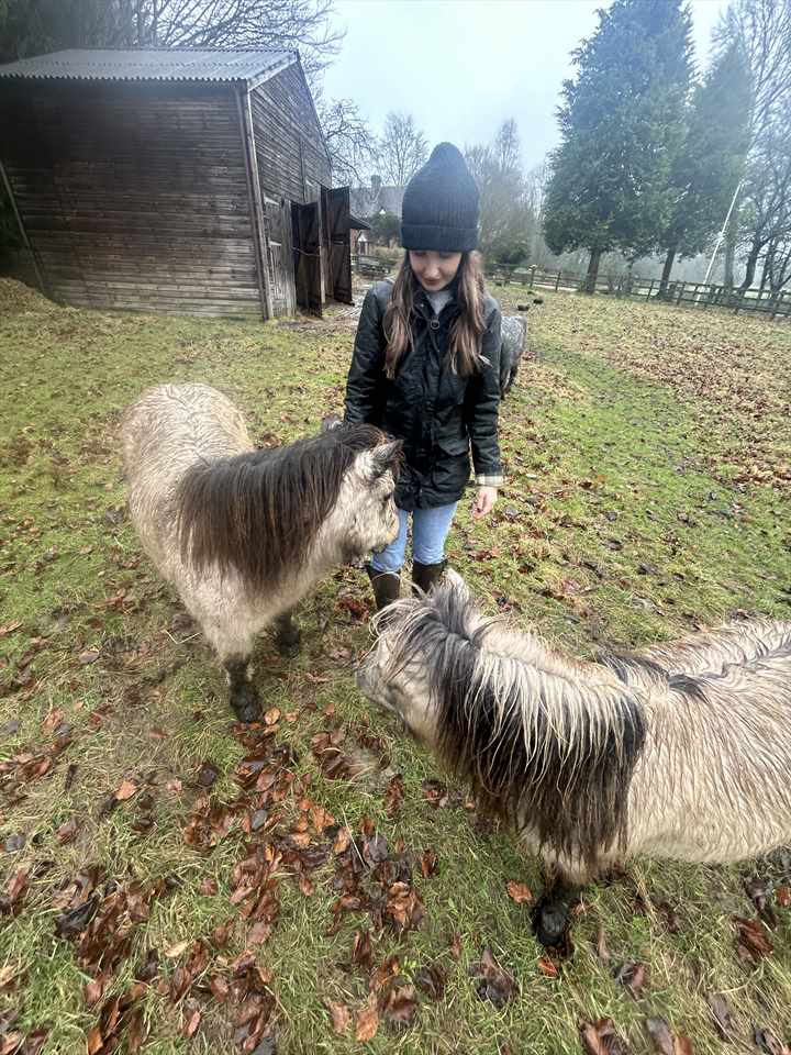 Equestrian Jobseeker Photo: