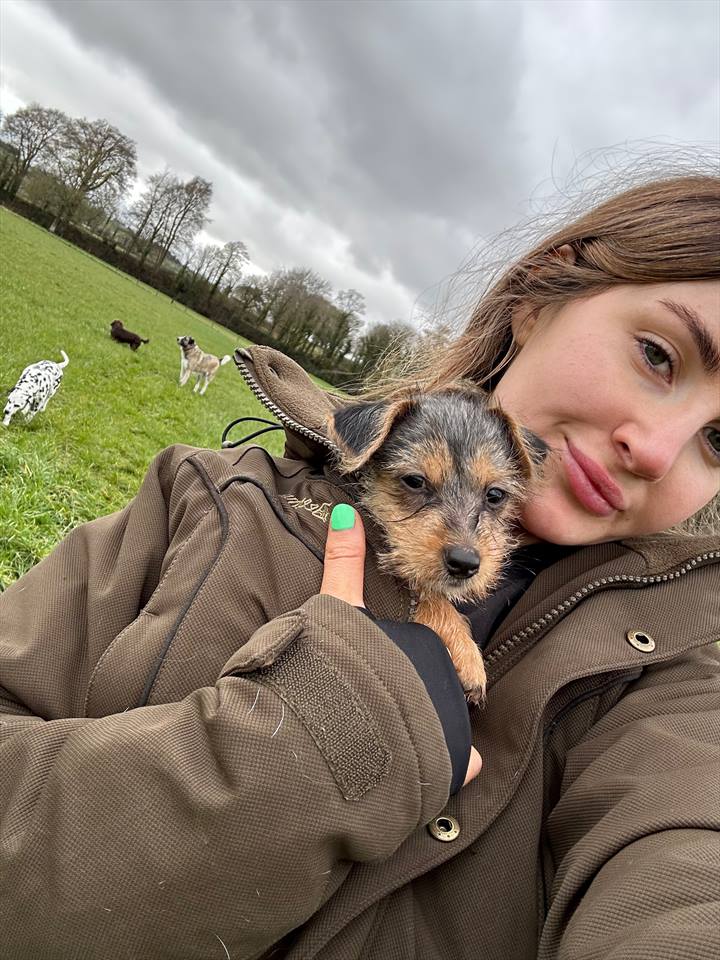 Equestrian Jobseeker Photo: