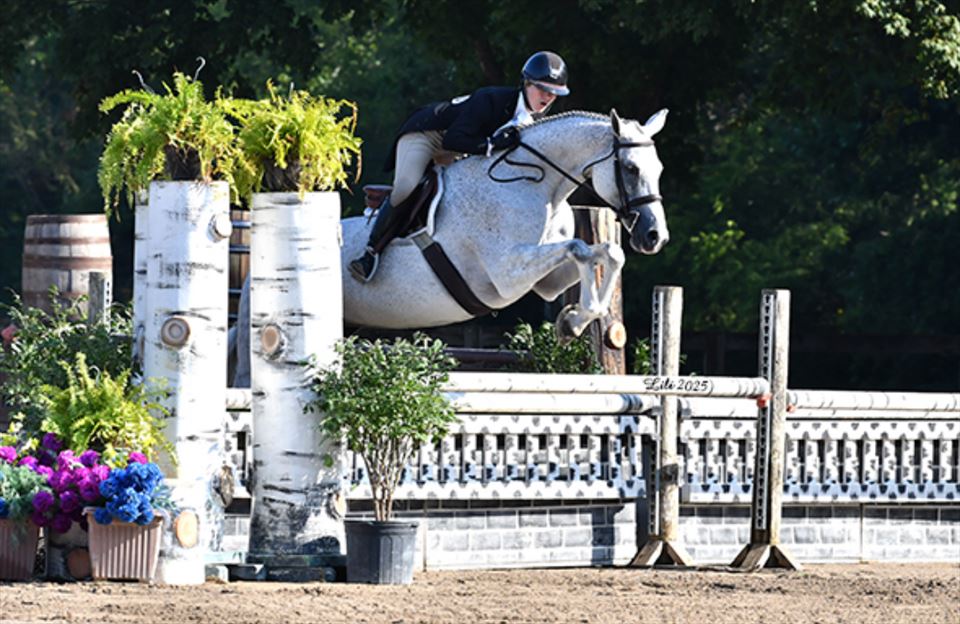 Equestrian Jobseeker Photo: