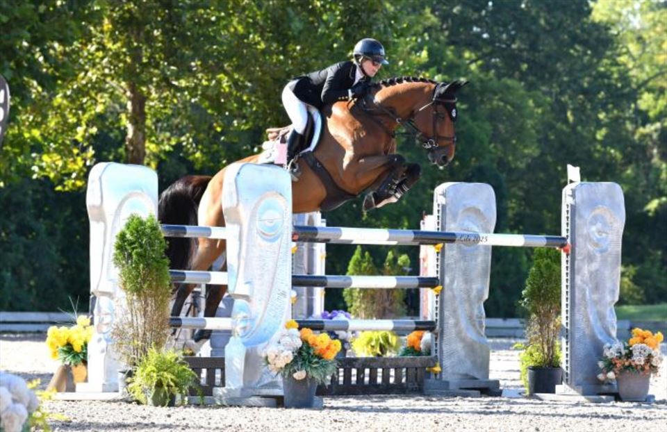 Equestrian Jobseeker Photo: