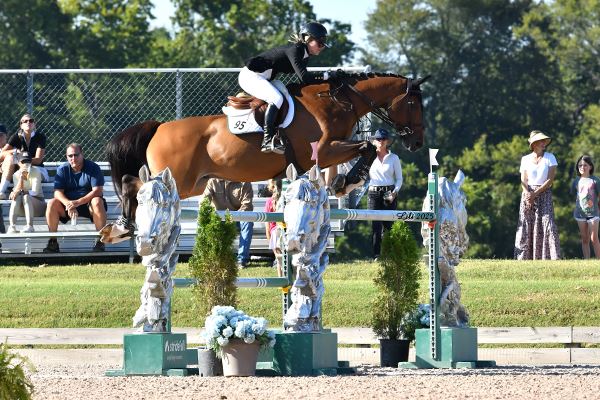 Equestrian Jobseeker Photo: