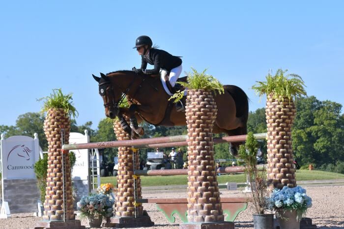 Equestrian Jobseeker Photo:
