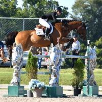 Equestrian Jobseeker Photo: