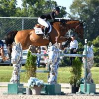Equestrian Jobseeker Photo: