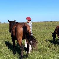 Equestrian Jobseeker Profile Photo