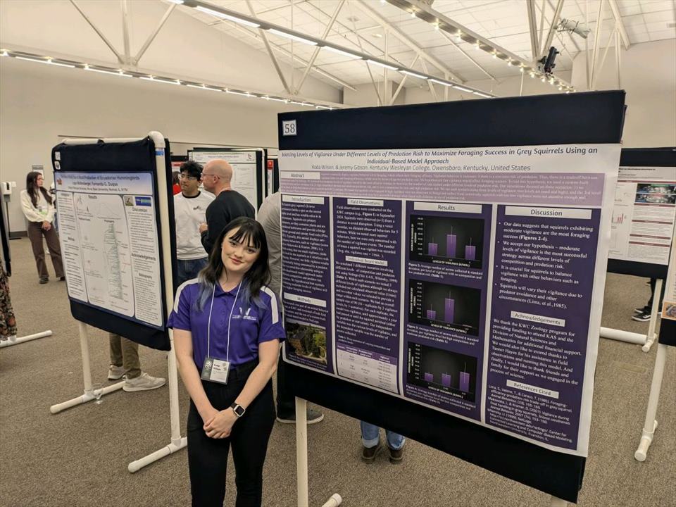 Equestrian Jobseeker Photo: