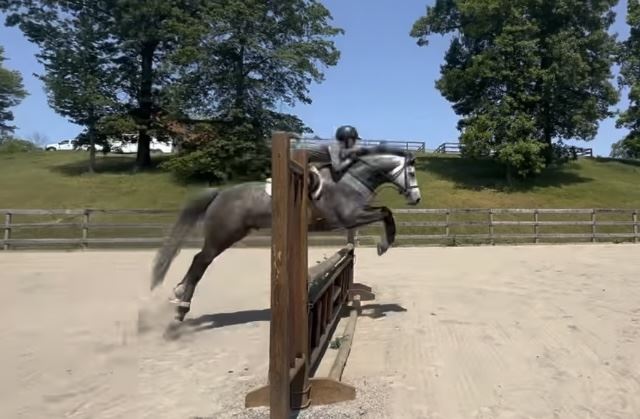 Equestrian Jobseeker Photo: