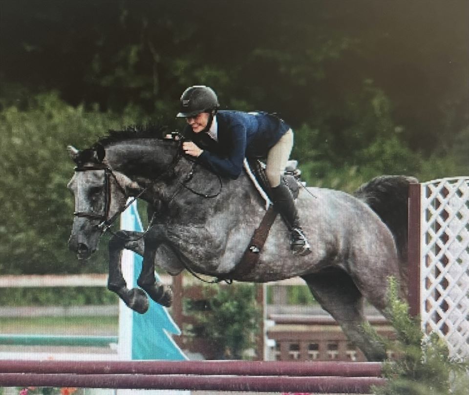 Equestrian Jobseeker Photo: