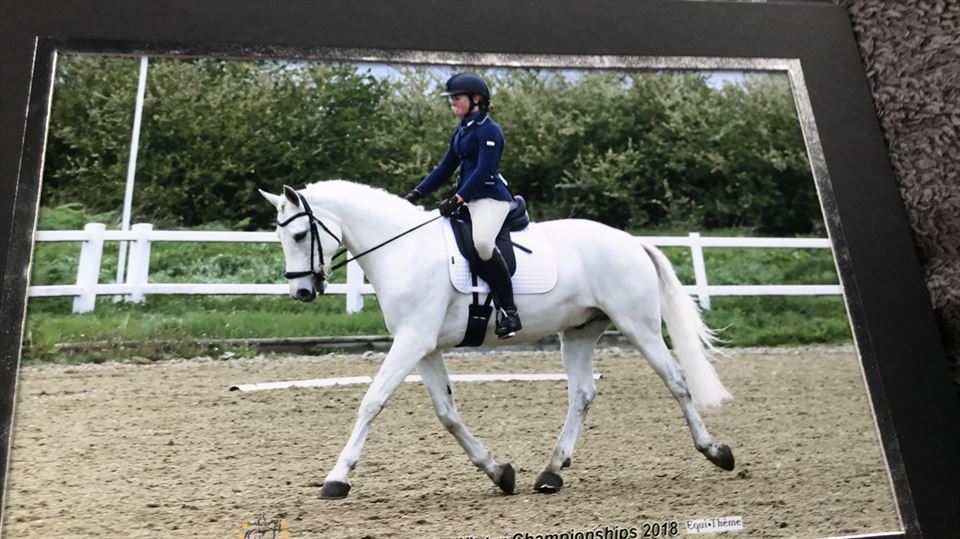 Equestrian Jobseeker Photo: