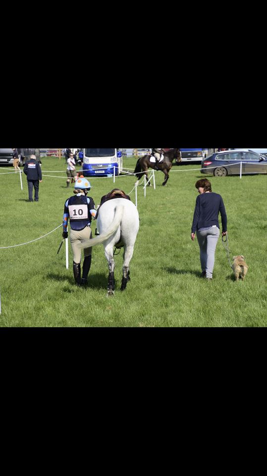 Equestrian Jobseeker Photo: