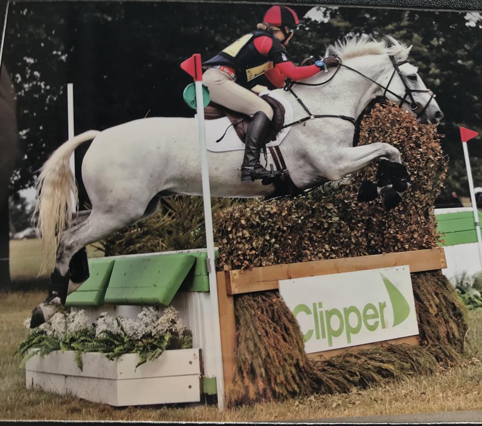 Equestrian Jobseeker Photo: