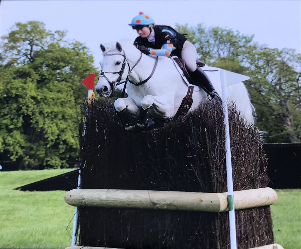 Equestrian Jobseeker Photo: