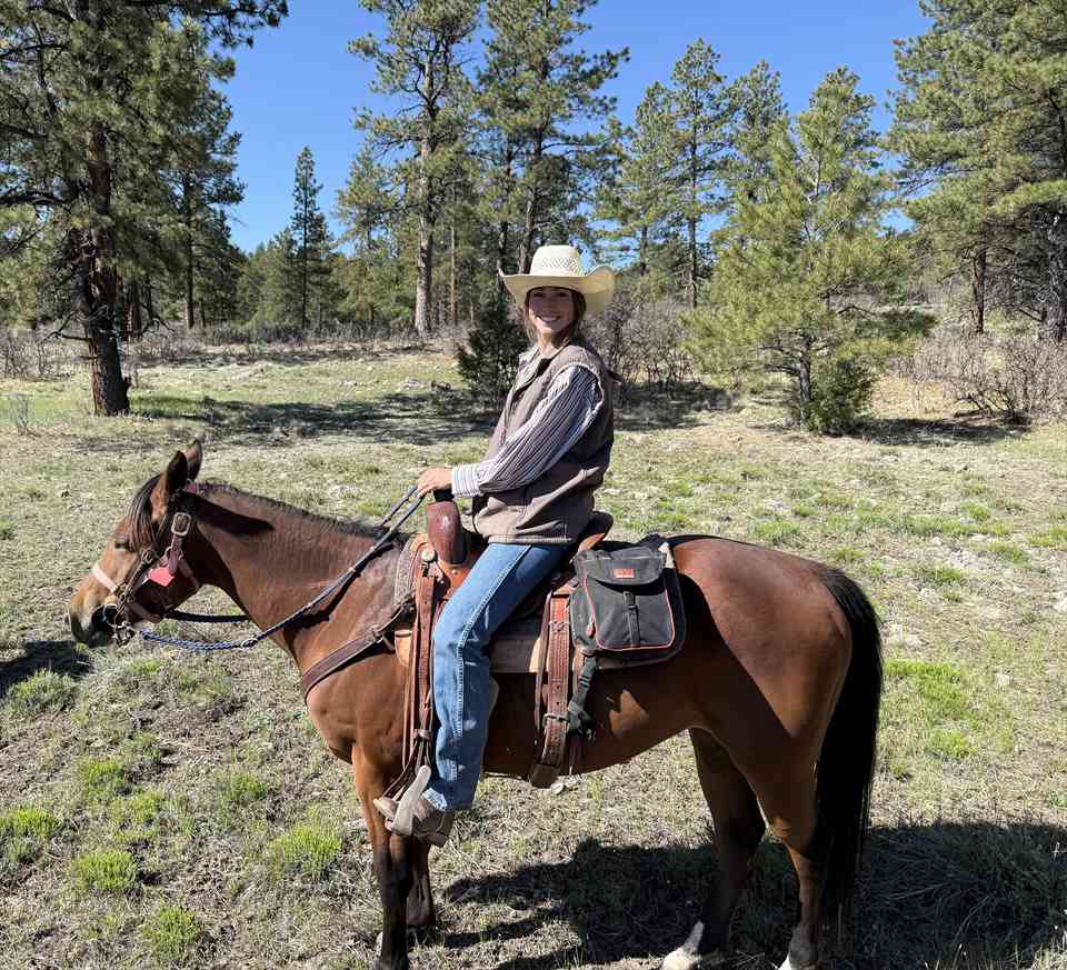 Equestrian Jobseeker Photo: