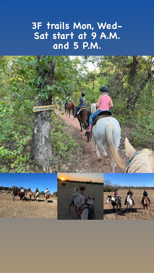 Equestrian Jobseeker Photo: