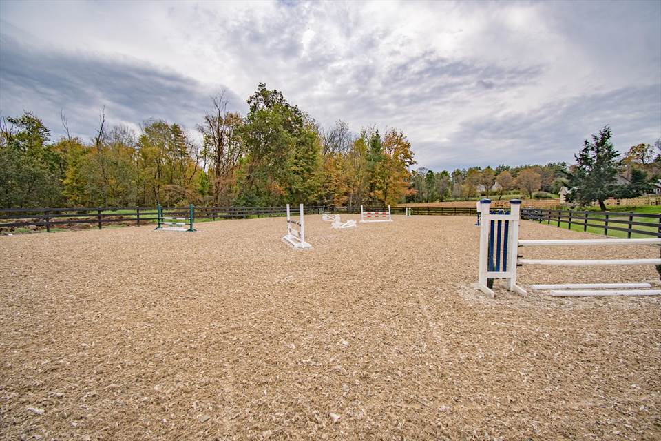 Equestrian Employer Photo: