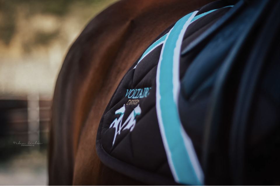 Equestrian Employer Photo: