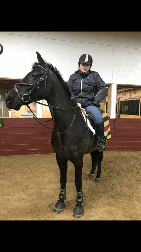 Equestrian Jobseeker Photo: