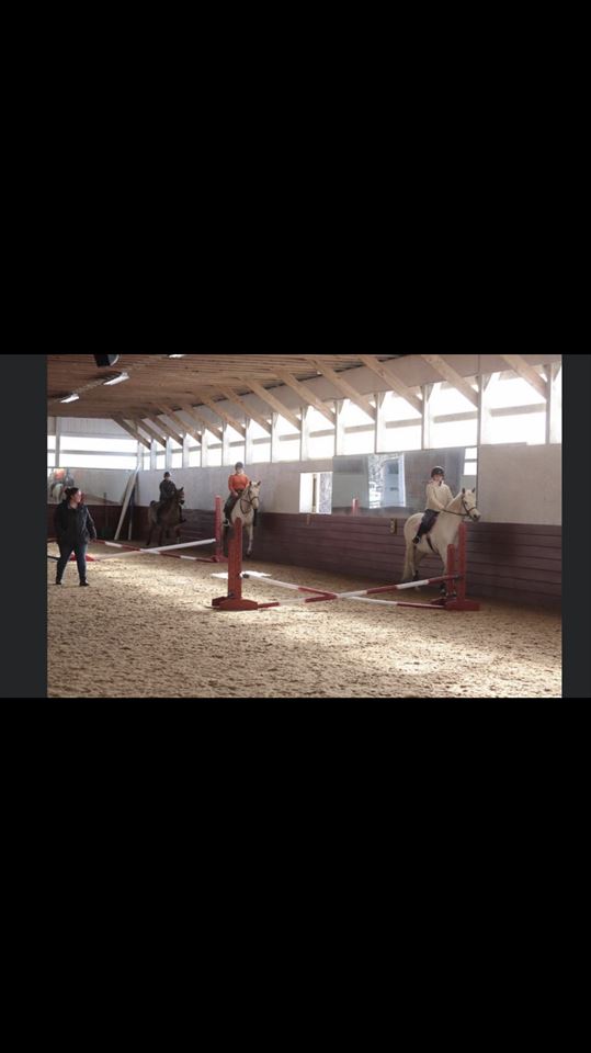 Equestrian Jobseeker Photo: