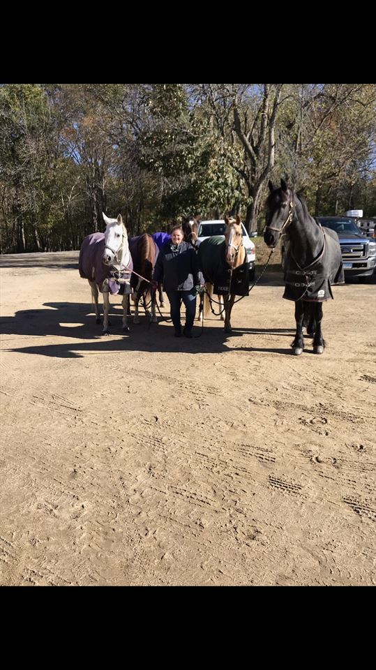 Equestrian Jobseeker Photo: