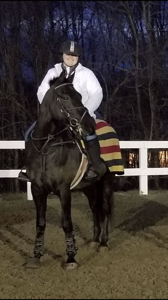 Equestrian Jobseeker Photo: