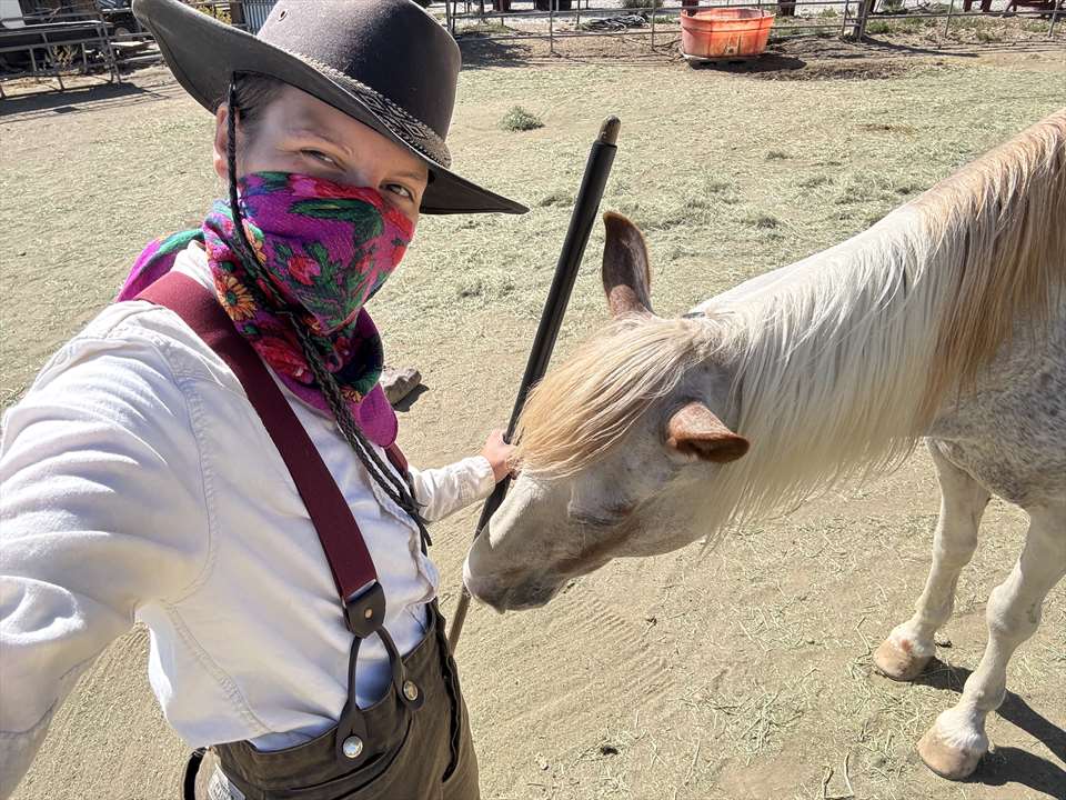 Equestrian Jobseeker Photo: