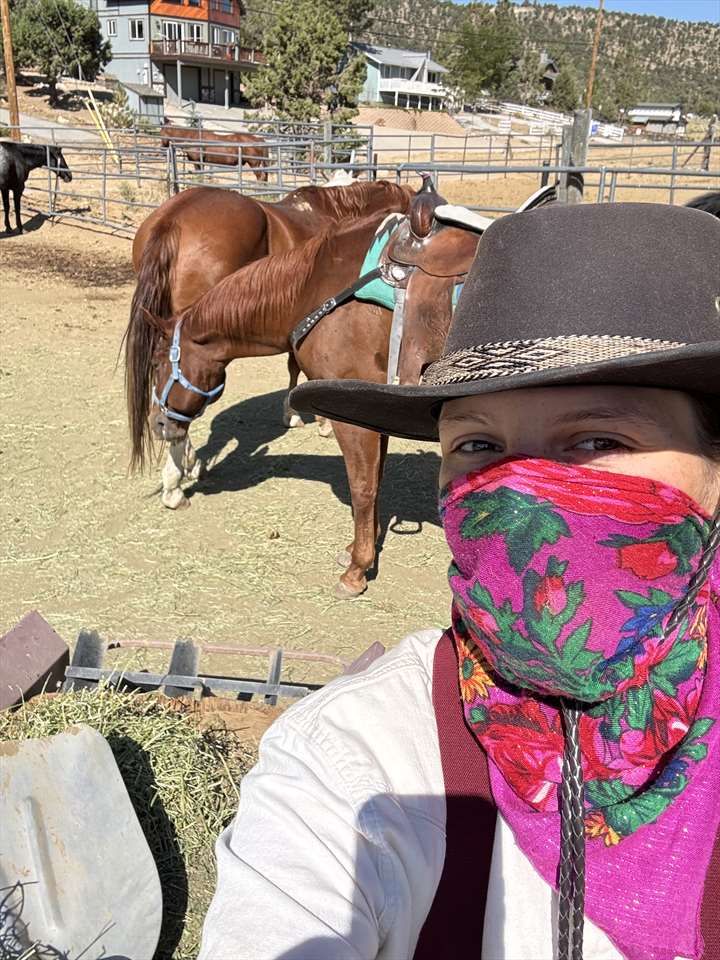 Equestrian Jobseeker Photo: