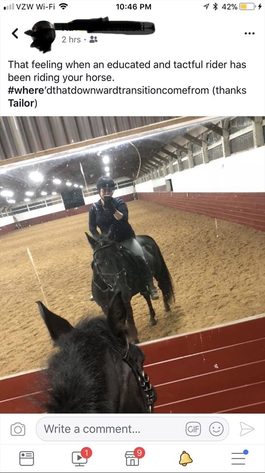 Equestrian Jobseeker Photo: