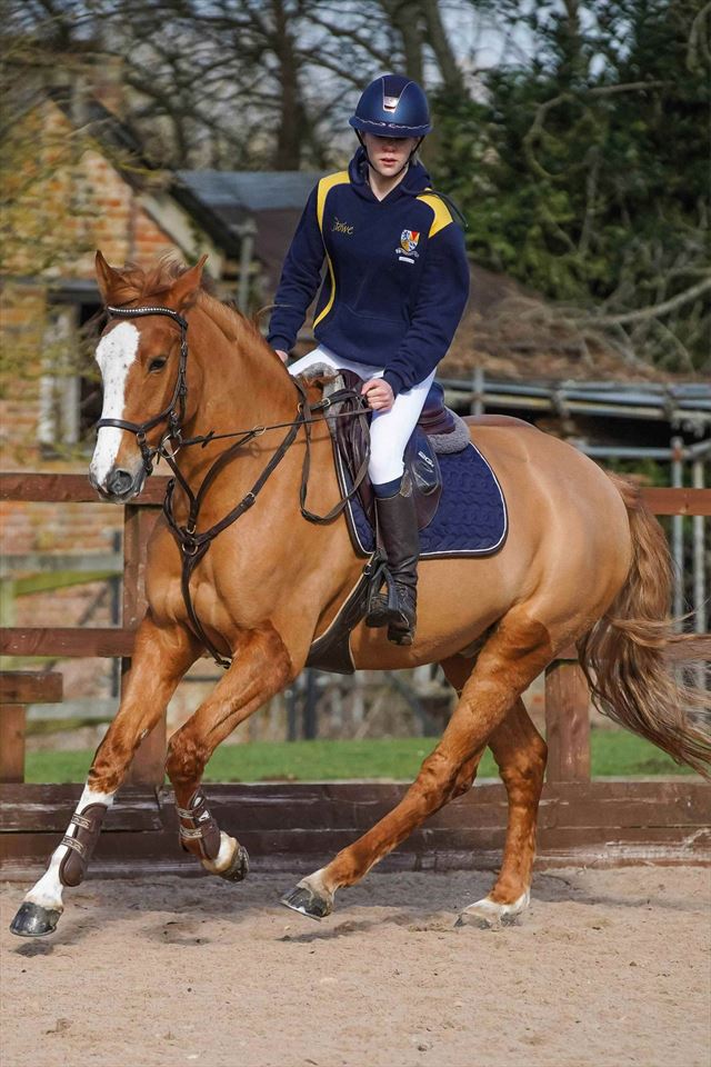 Equestrian Employer Photo: