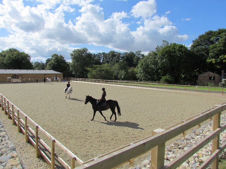 Equestrian Employer Photo:
