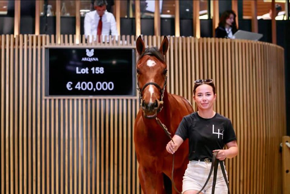 Equestrian Employer Photo: