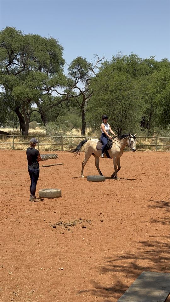 Equestrian Jobseeker Photo: