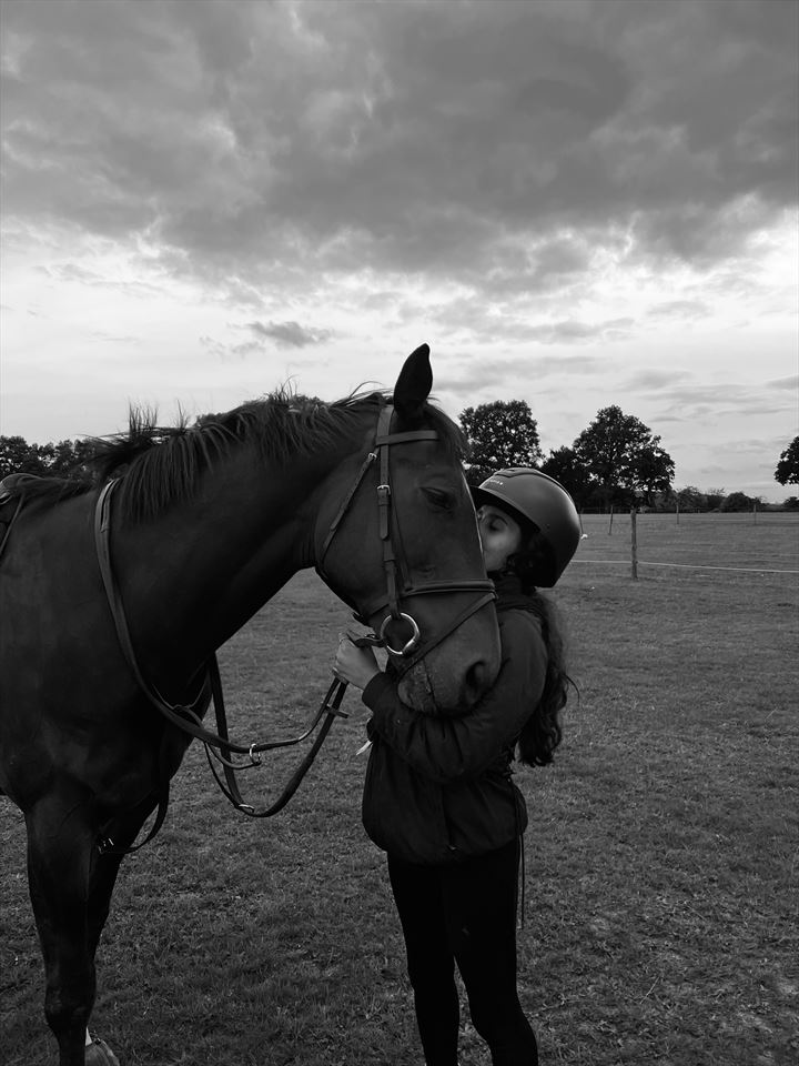 Equestrian Jobseeker Photo: