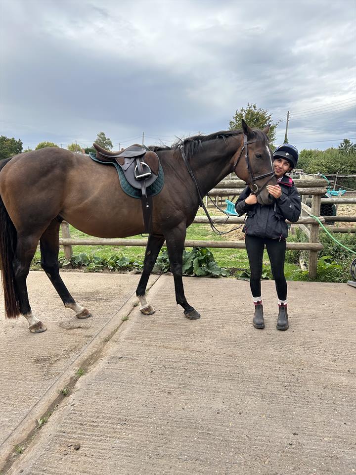 Equestrian Jobseeker Photo: