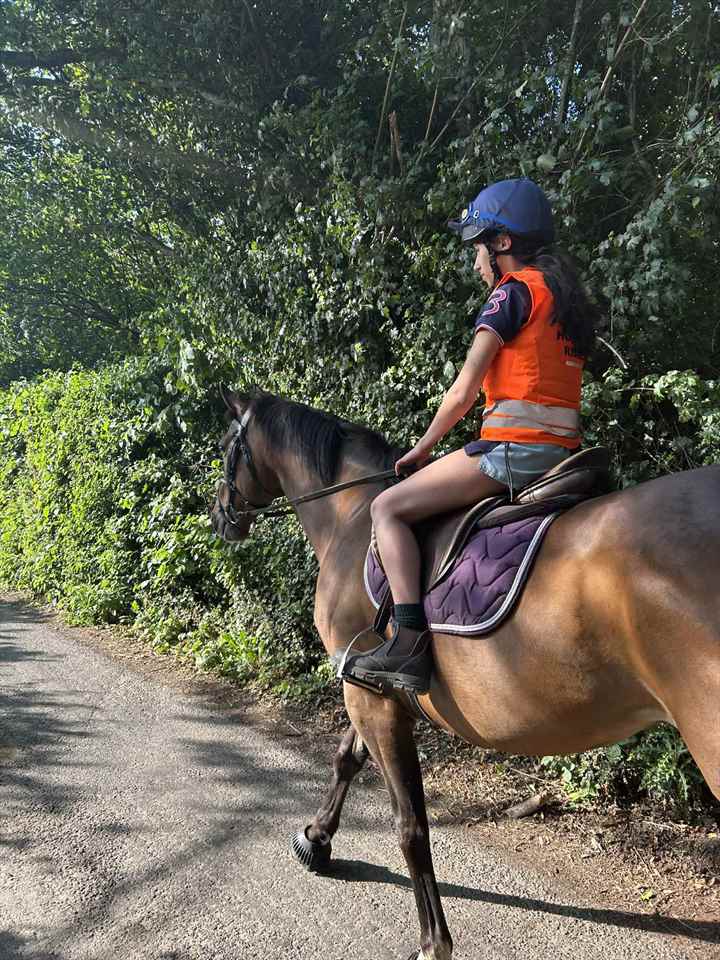 Equestrian Jobseeker Photo: