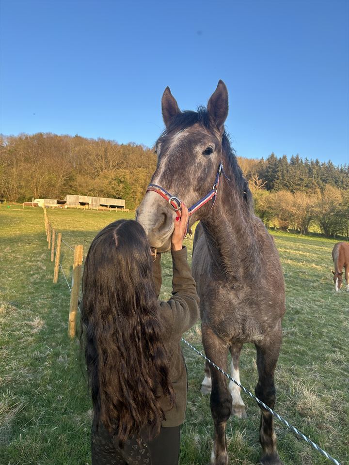 Equestrian Jobseeker Photo: