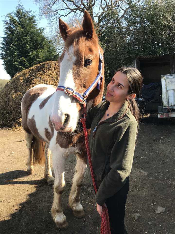 Equestrian Jobseeker Photo: