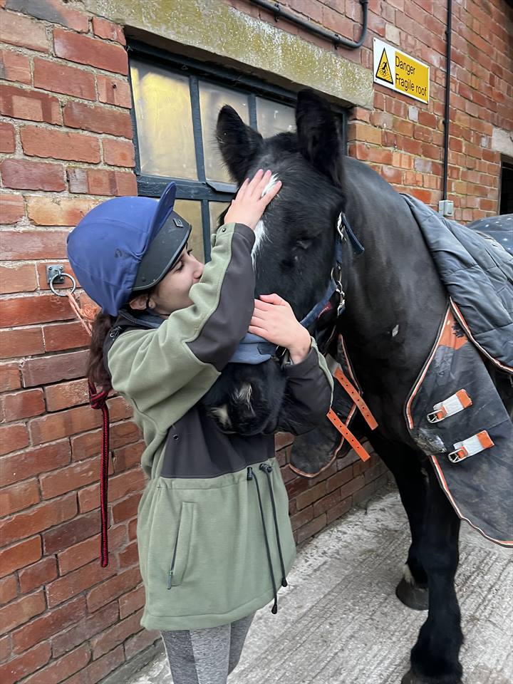 Equestrian Jobseeker Photo: