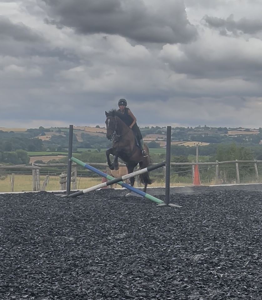Equestrian Jobseeker Photo: